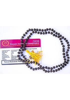 Black Rudraksha Mala (4 mm, Rarest Size, Neck Length,108+1 Beads, Lab Certified) Wood Chain