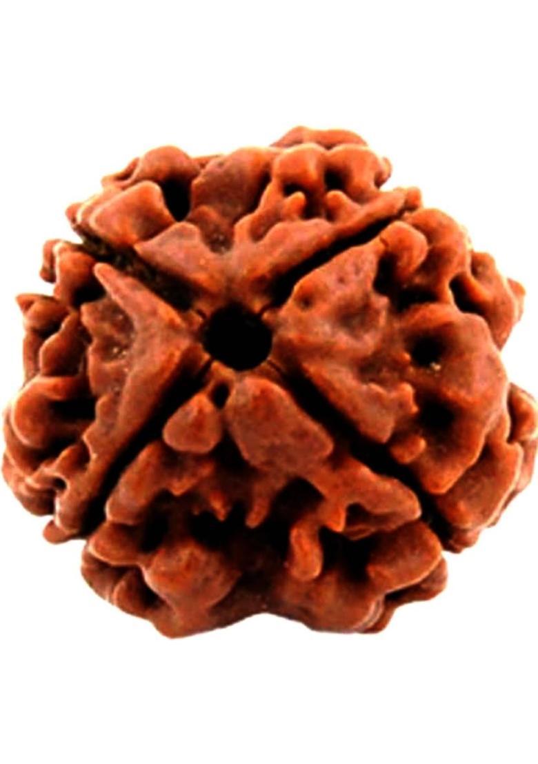 Navdurga Jyotish Kendra 4 Mukhi Rudraksha Natural Lab Certified (100% Original) Wood Locket - Indya