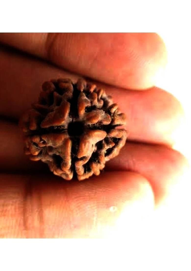 Navdurga Jyotish Kendra 4 Mukhi Rudraksha Natural Lab Certified (100% Original) Wood Locket - Indya