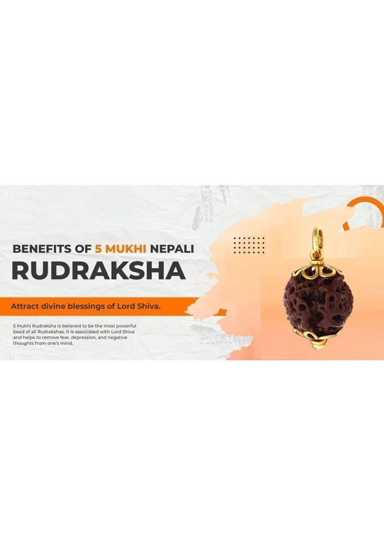 robbanmant 5 Mukhi Nepali Rudraksha Five Face Rudraksh With Original Quality Certificate Silver Wood Pendant - Indya