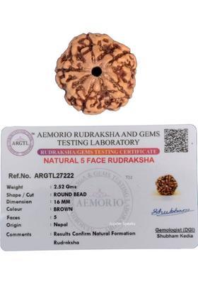 jupiter speaks Premium 5 Mukhi Rudraksha Nepali Chikna Bead Golden Brown Color Beads 15-16 mm Wood Pendant