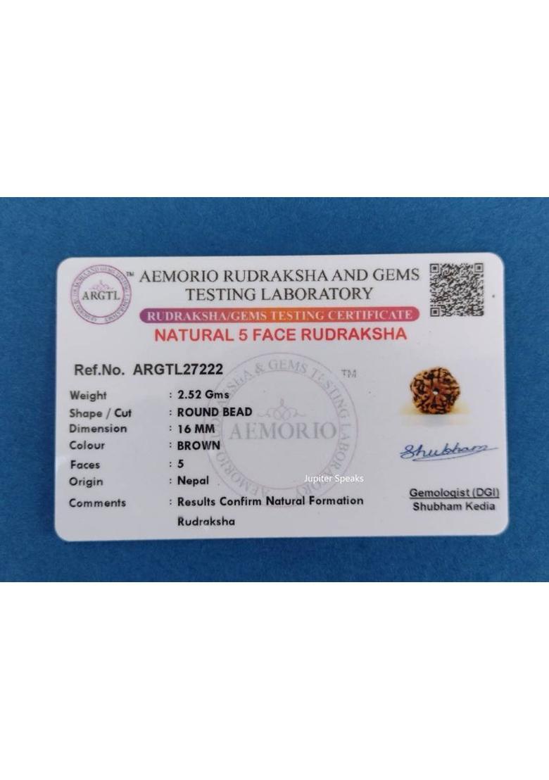 jupiter speaks Premium 5 Mukhi Rudraksha Nepali Chikna Bead Golden Brown Color Beads 15-16 mm Wood Pendant - Indya