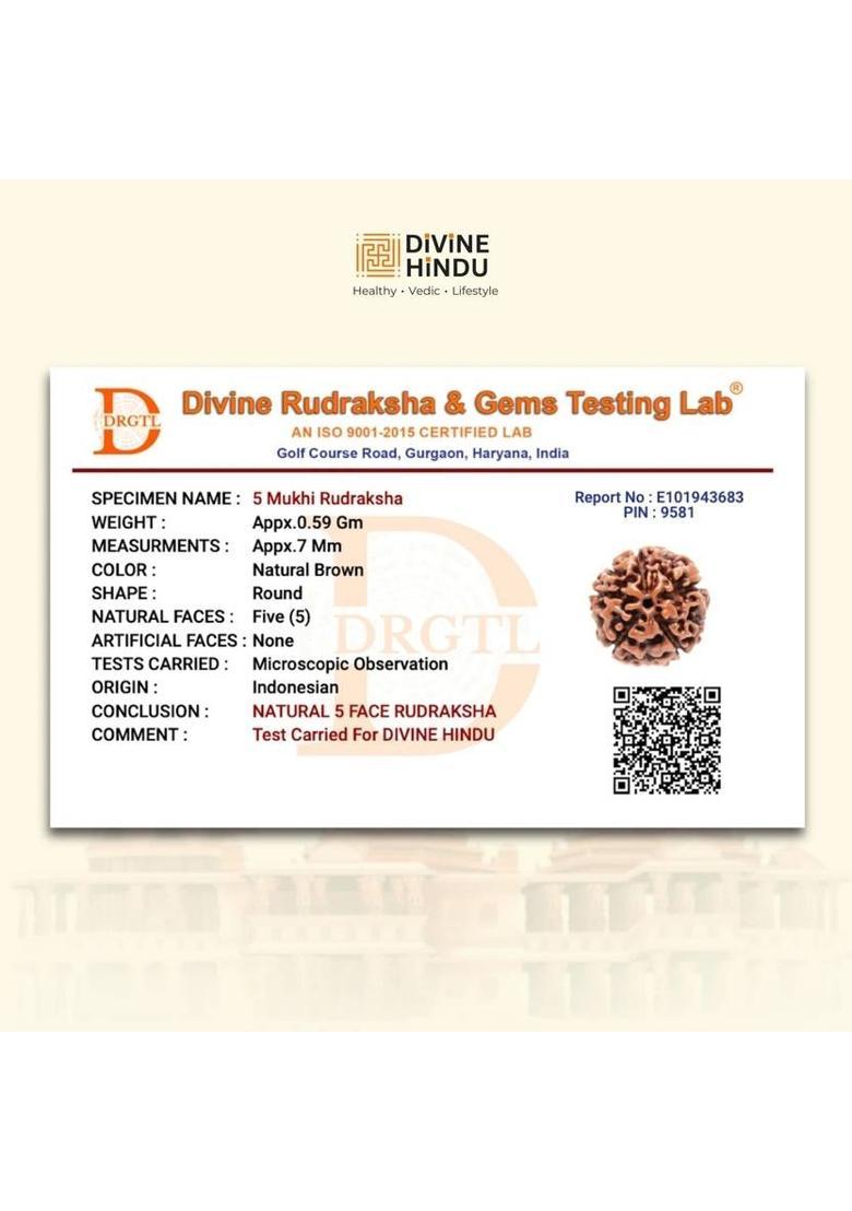 Om 5 Mukhi Rudraksha Pendant Necklace | For Men & Women | Spiritual Jewelry Gold-plated Plated Brass Necklace - Indya