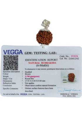 jupiter speaks 6 Mukhi / Face Rudraksha Nepali Pendant With Lab Certificate, 100% Original Six Faced Ruthratcham Natural Round Bead Size 17-18 mm Silver Cap Color Brown For Men and Women Wood Pendant