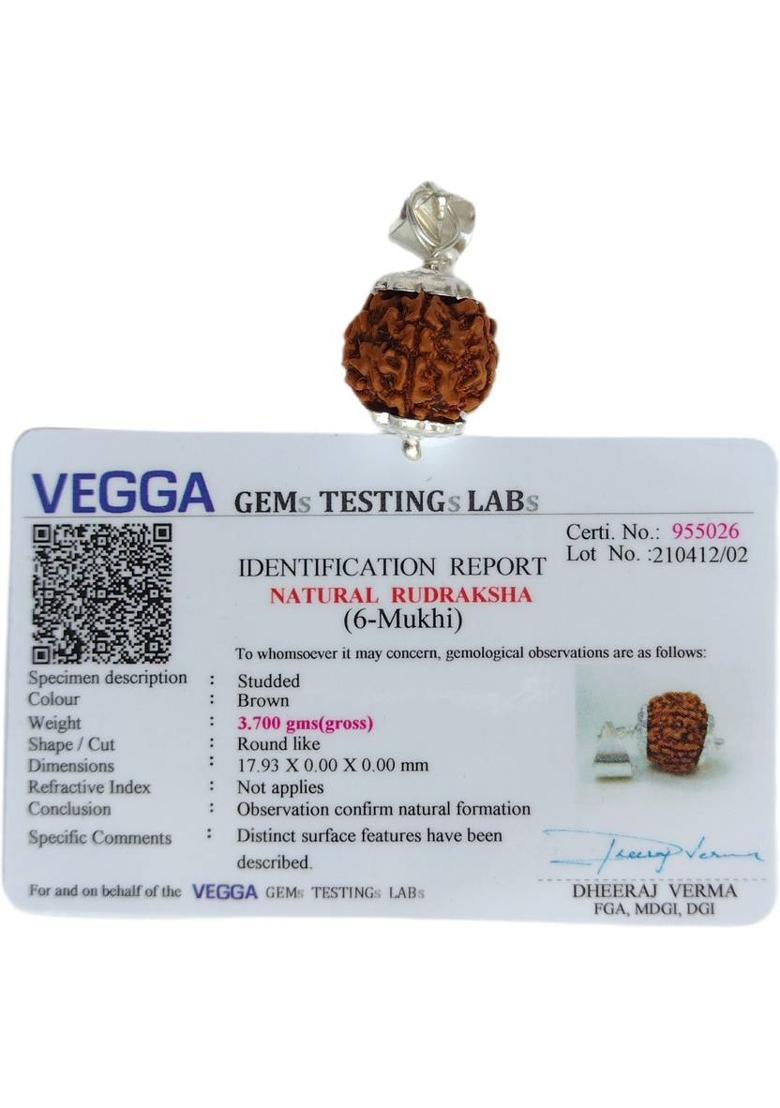jupiter speaks 6 Mukhi / Face Rudraksha Nepali Pendant With Lab Certificate, 100% Original Six Faced Ruthratcham Natural Round Bead Size 17-18 mm Silver Cap Color Brown For Men and Women Wood Pendant - Indya