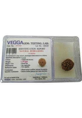 kartik gems 6 mukhi rudraksha ( six face ) 100% original with lab certification Wood Pendant