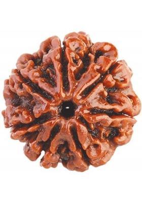 Madhur Creation Nepali 7 Mukhi Rudraksha attracts wealth Wood