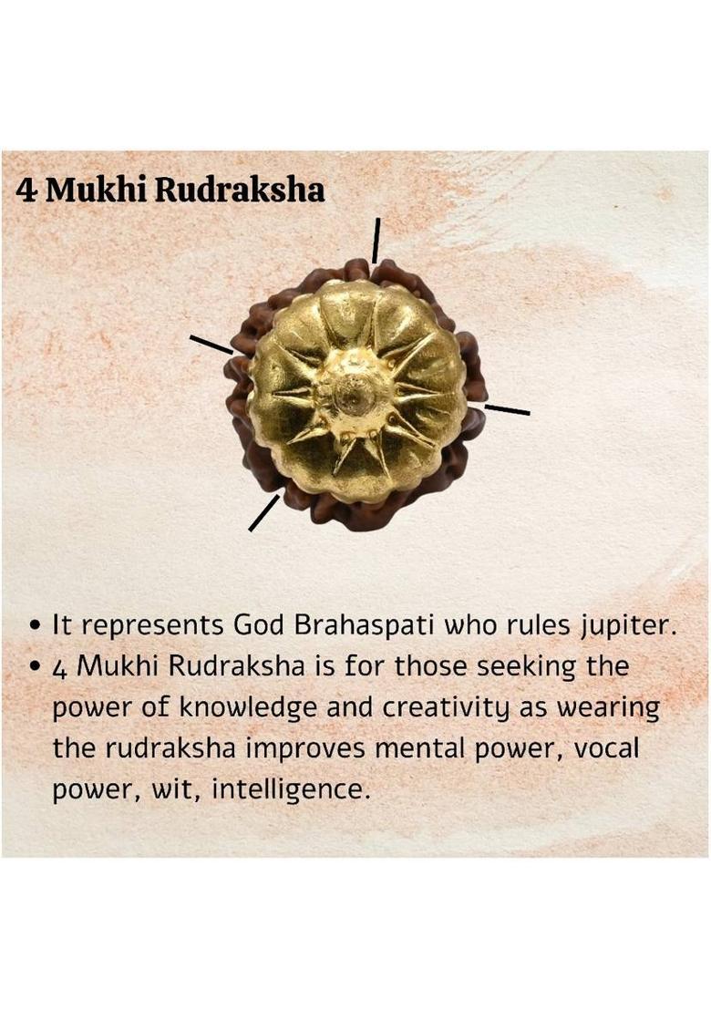 HAPPY CREATION 4 Mukhi Rudraksha Original Certified Nepali Char Mukhi Rudraksha Gold-plated Beads Brass, Wood Locket - Indya
