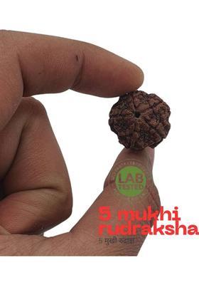 Bharat Collection Natural Nepali 5 Mukhi Rudraksha Pendant (Five Face Rudraksha ) With Lab Report Beads Wood Pendant