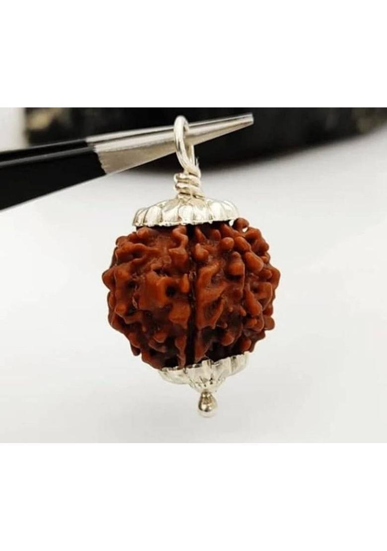 AllenDazzy 5 Mukhi Rudraksha Original Panch mukhi Rudraksha Original Wood Pendant - Indya