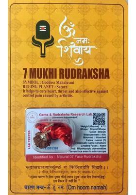 Divine rudras 7 Mukhi Rudraksha With Lab Certified Wood Pendant