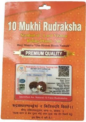 BHAKTI SHRINGAR 10 Mukhi Rudraksha Original Certified Lab Test & X-ray Report Sterling Silver Wood Pendant