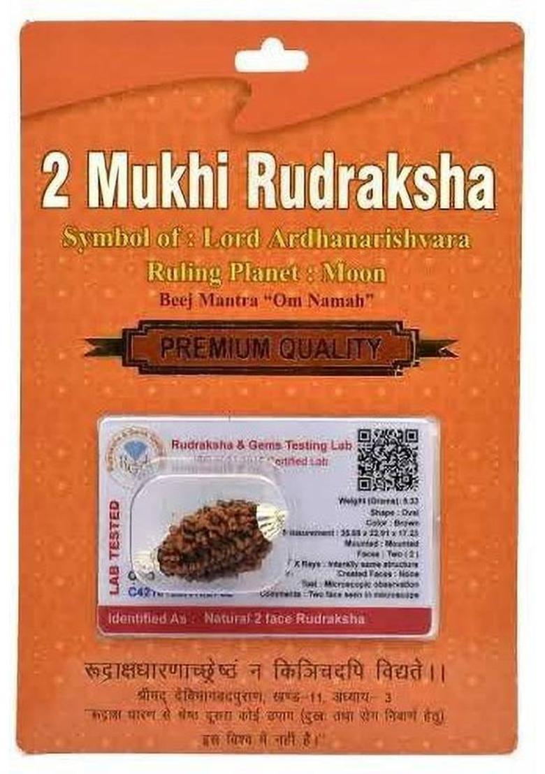 BHAKTI SHRINGAR 10 Mukhi Rudraksha Original Certified Lab Test & X-ray Report Sterling Silver Wood Pendant - Indya