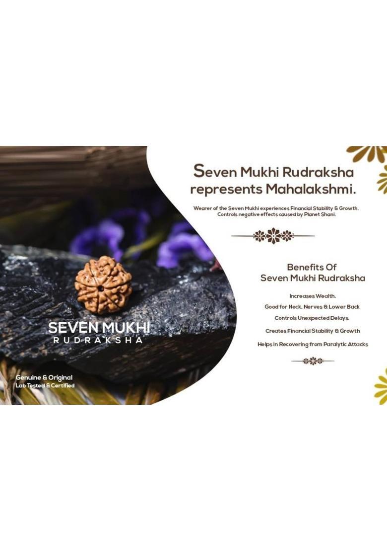 Fine Creation Lab Certified Natural 7 Mukhi Rudraksha Bead Indonesia 7 Face Rudraksha Silver Brass Pendant - Indya