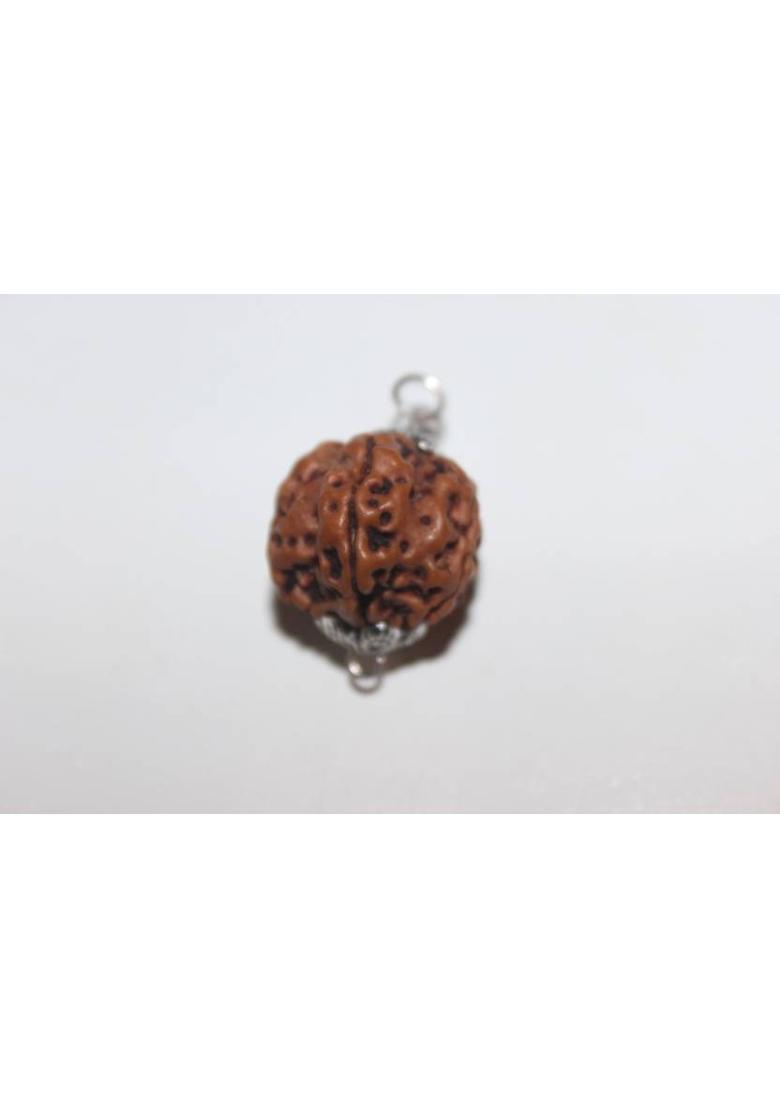 Rudra gems Jewellery 5 Mukhi Rudraksha With Lab Certified, Brass, Wood Pendant - Indya