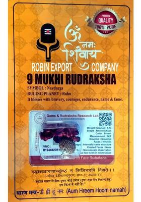 9_ Mukhi Nepali Rudraksha Nine face With tab tested Certificate Beads Sterling Silver Plated Rudraksha Chain