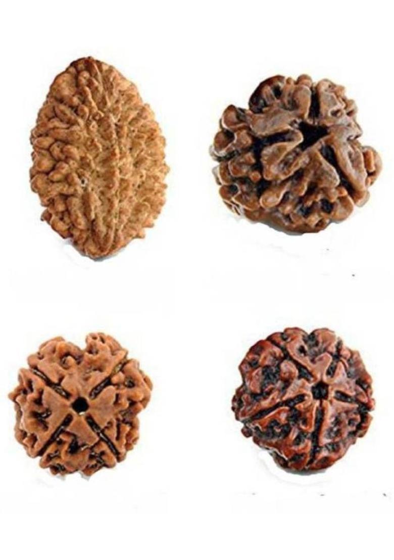 Amriteous 100% Original rudraksha beads (2 to 5 mukhi) Rudraksha Pack of 4 Wood Pendant - Indya