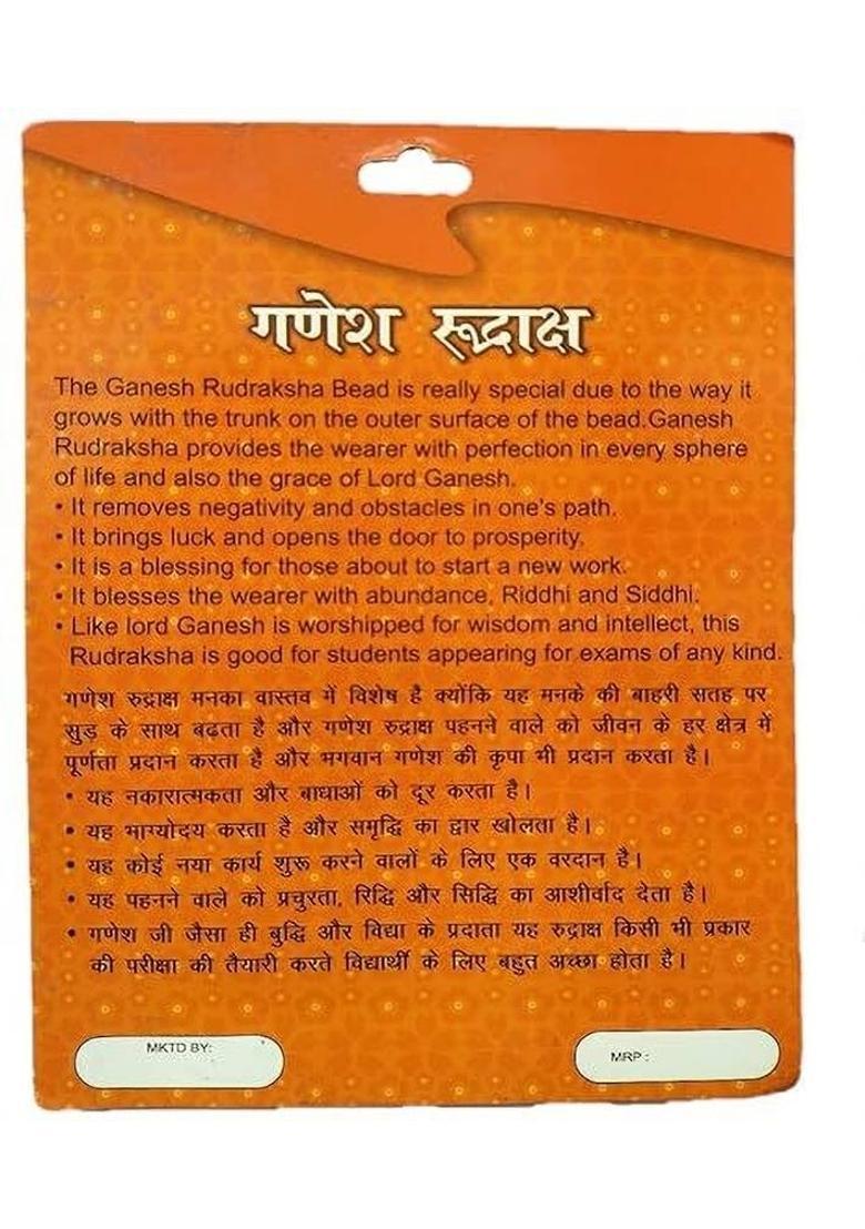 Sarvaksh 11 Mukhi Rudraksha with Silver Capping | Lab Tested & X-ray Certified Wood Pendant - Indya