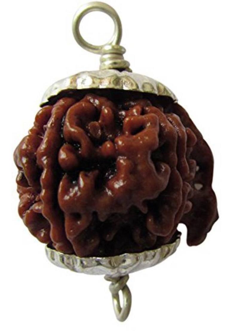 SSG Collections | Ganesh Rudraksha Pendant, Nepal Originated Rudrakash | 100% Original And Natural Rudraksh | Wood Pendant - Indya