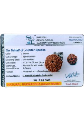 jupiter speaks 7 Mukhi Rudraksha Indonesia 17MM With Lab Certificate Natural Brown Unisex Wood Pendant