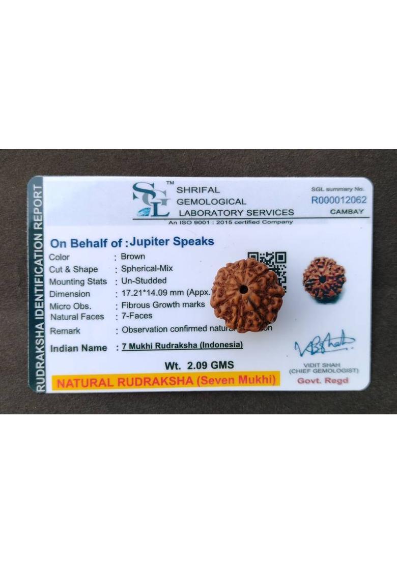 jupiter speaks 7 Mukhi Rudraksha Indonesia 17MM With Lab Certificate Natural Brown Unisex Wood Pendant - Indya