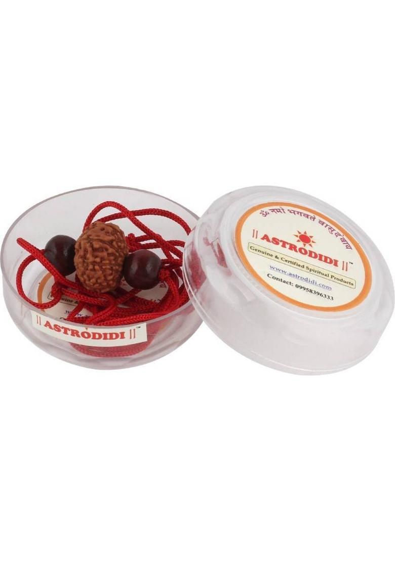 3SIX5 8 Mukhi Indonesian Java Rudraksha (Small Size) With Red Chandan Beads Wood Pendant - Indya