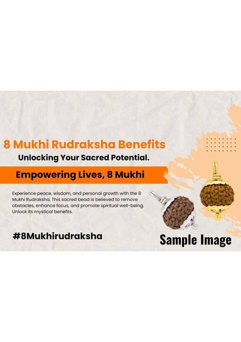 Fine Creation 8 Mukhi Rudraksha with Pendant for Men & Women Original Certified Eight Faced Gold-plated Brass Pendant - Indya