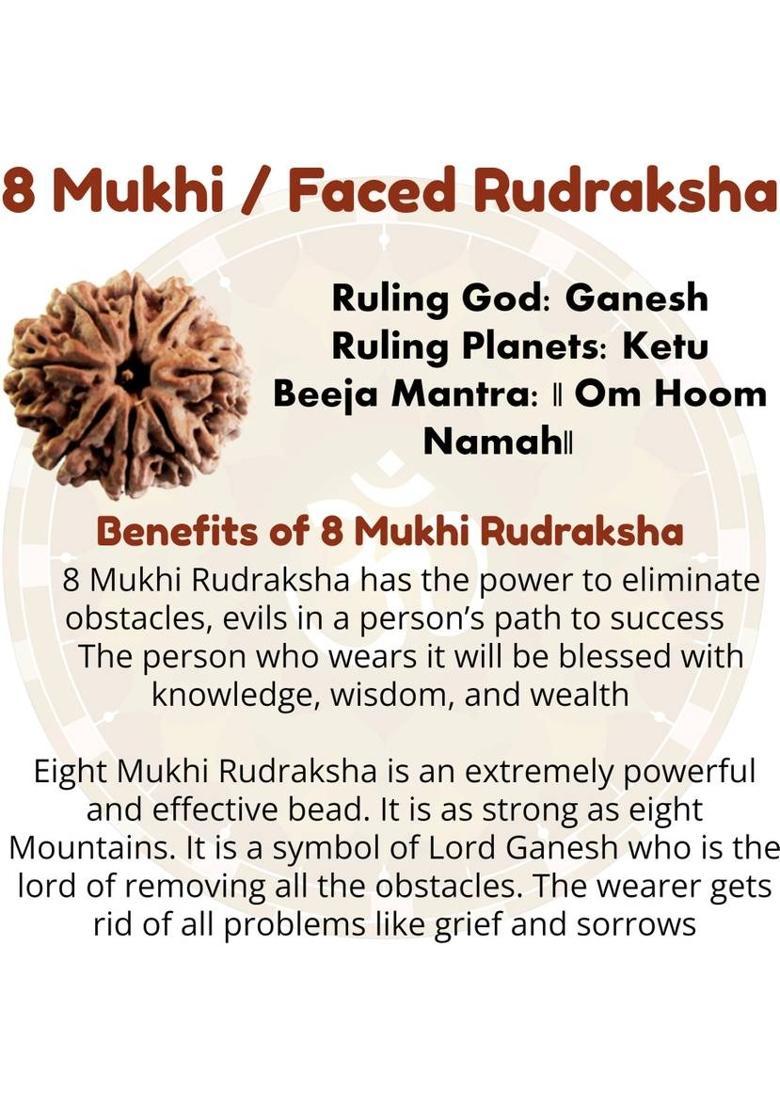 Fine Creation 8 Mukhi Rudraksha with Pendant for Men & Women Original Certified Eight Faced Gold-plated Brass Pendant - Indya