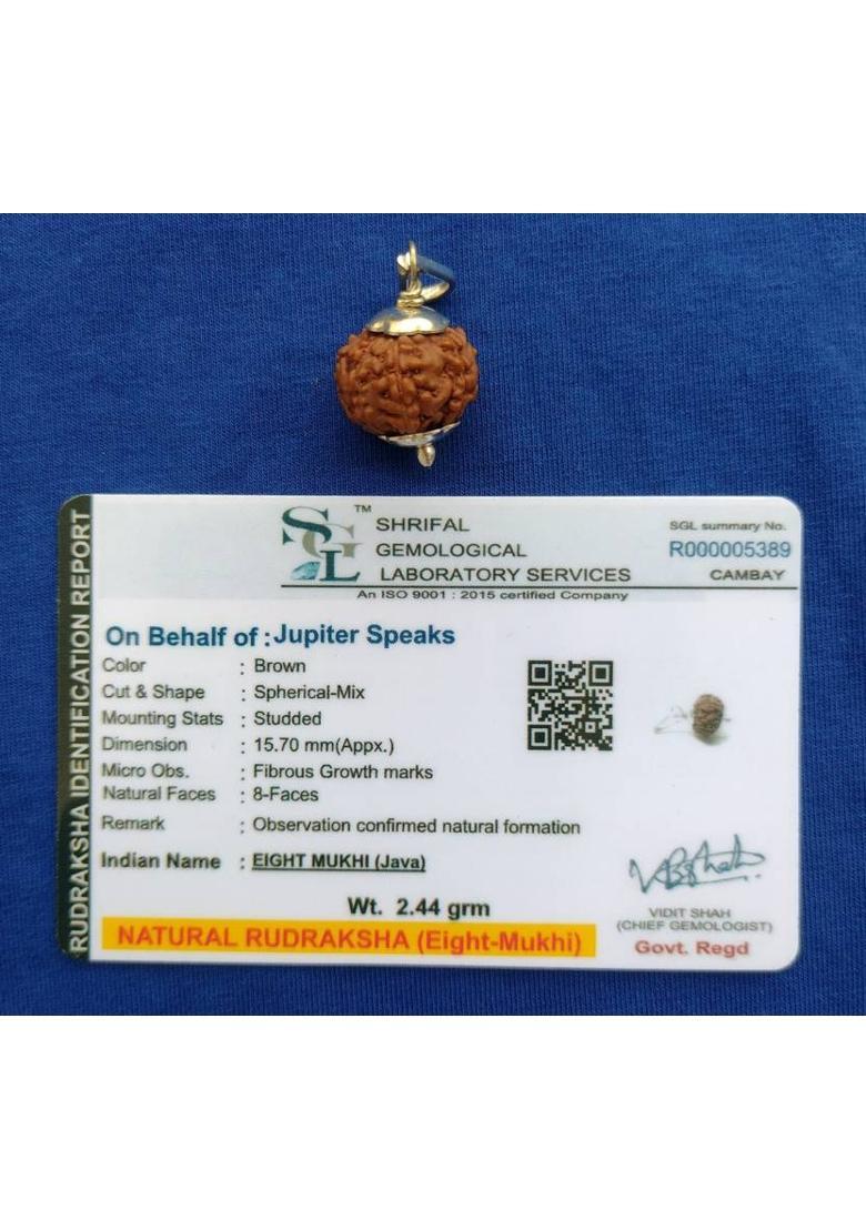 jupiter speaks 8 Mukhi Rudraksha Pendant Indonesia (Java) Lab Certified, 100% Original Eight Face Ruthratcham Bead Size 15-17 mm German Silver Color Brown for Men & Women Wood Pendant - Indya
