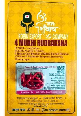 Premium 4 Mukhi Nepali Rudraksha Four Faced With Lab Tested Certificate Beads Sterling Silver Plated Wood Chain