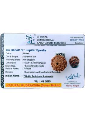 jupiter speaks 7 Mukhi Rudraksha Indonesian 16MM With Lab Certificate Natural Brown Unisex Wood Pendant