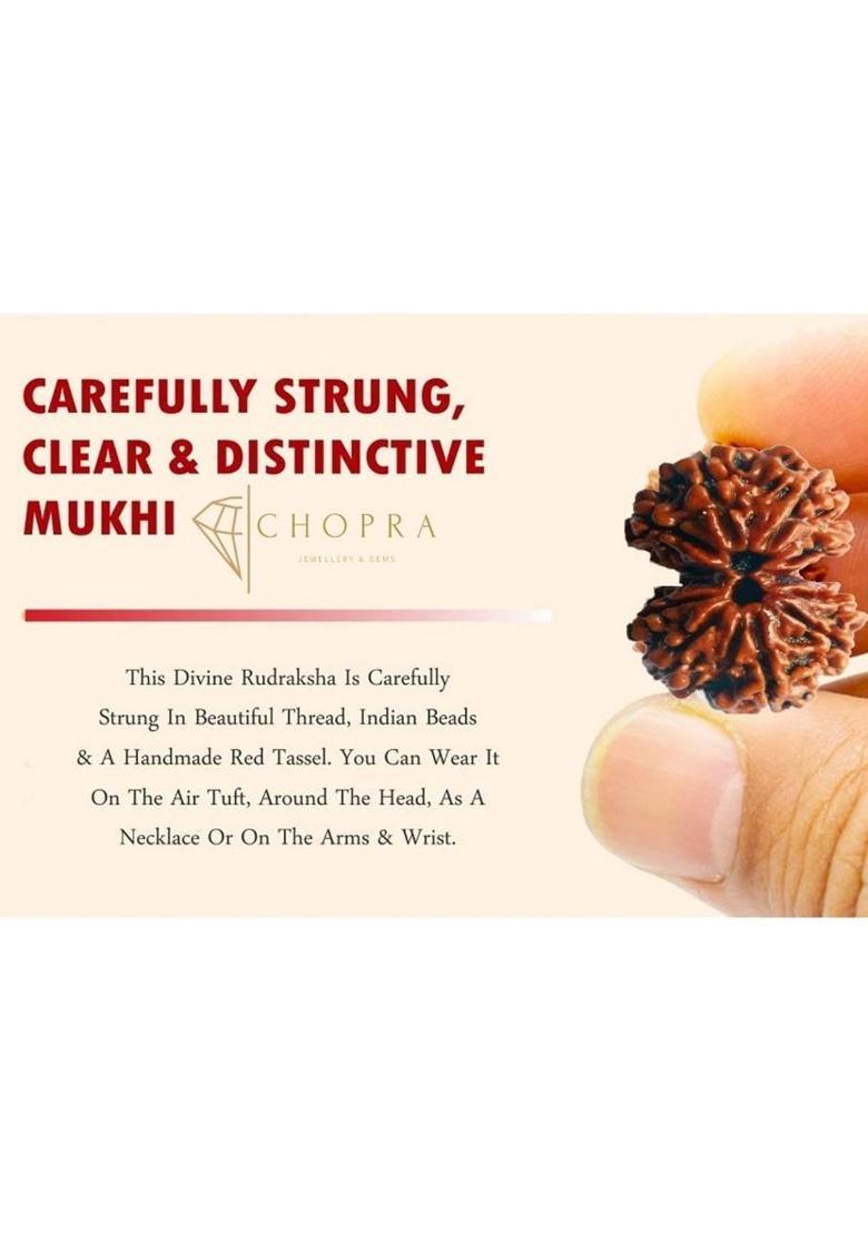 Chopra Gems Genuine Shiv Parvati Rudraksha 100% Original for Men & Women Wood - Indya