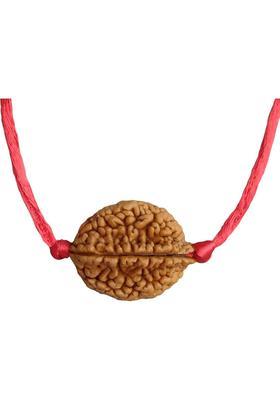 jupiter speaks 2 Mukhi Rudraksha Pendant Indian With Lab Certificate Brown Color Size 26 - 35mm Wood Pendant