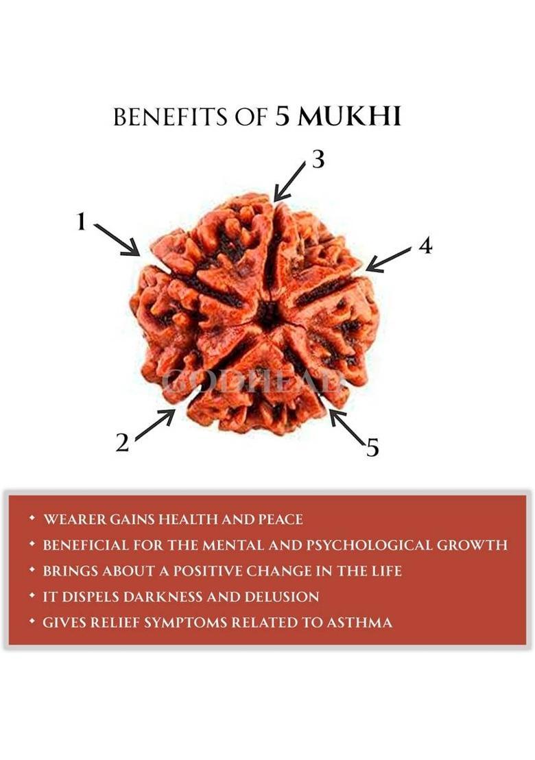 GODHEAD GODHEAD 100% NATURAL/ORIGINAL CERTIFIED NEPALI 5 MUKHI RUDRAKSHA WOOD PENDANT Wood Pendant - Indya