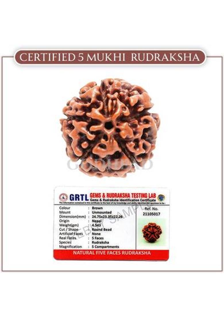 GODHEAD GODHEAD 100% NATURAL/ORIGINAL CERTIFIED NEPALI 5 MUKHI RUDRAKSHA WOOD PENDANT Wood Pendant - Indya