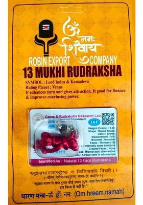 Robin Export Company 13 Mukhi Nepali Rudraksha Thirteen Faced Rudraksha With Certificate Lab Test Sterling Silver Wood