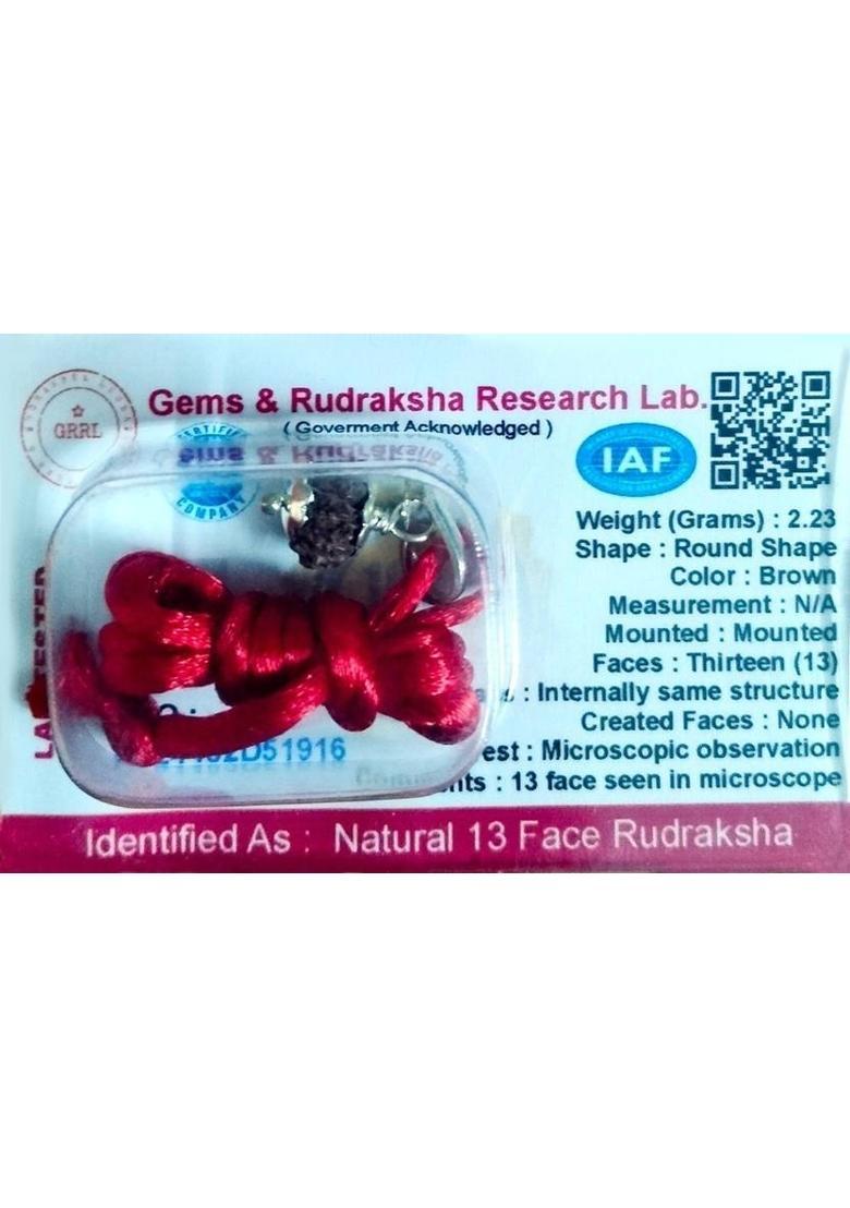 Robin Export Company 13 Mukhi Nepali Rudraksha Thirteen Faced Rudraksha With Certificate Lab Test Sterling Silver Wood - Indya
