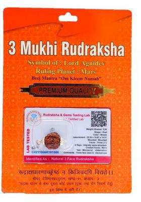 BHAKTI SHRINGAR 3 Mukhi Rudraksha Original Certified Lab Test & X-ray Report Sterling Silver Wood Pendant