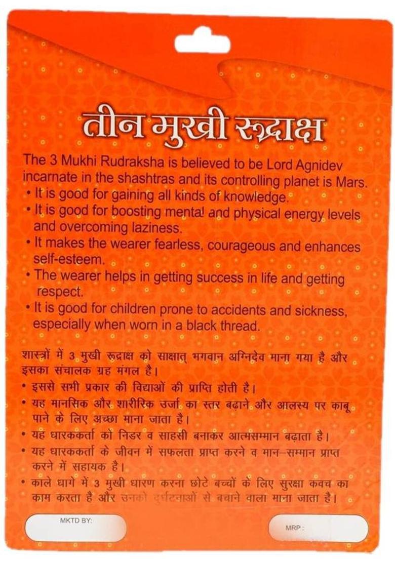 BHAKTI SHRINGAR 3 Mukhi Rudraksha Original Certified Lab Test & X-ray Report Sterling Silver Wood Pendant - Indya