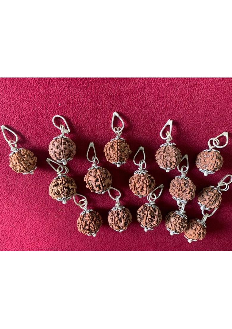 Rudraksham 6 Mukhi Nepali Rudraksha Pendant With Certificate Of Authenticity (Set of 15) Silver Brass Locket Set - Indya