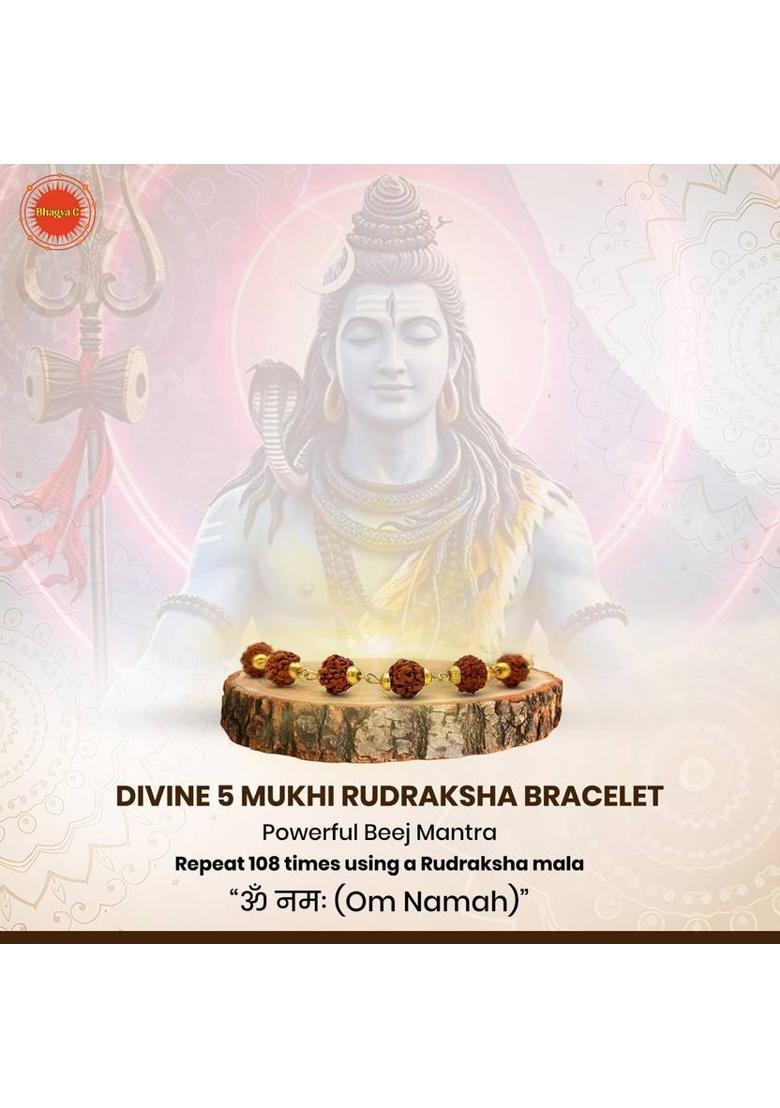 Rudraksha Bracelet - Indya