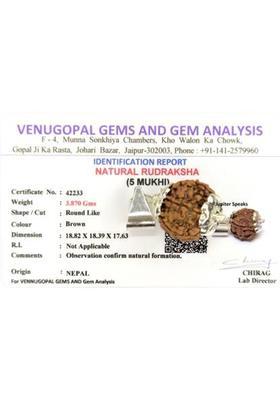 jupiter speaks 5 Mukhi Rudraksha Pendant With Lab Certificate Nepali Bead Size 18-19 mm Unisex Silver Wood Pendant