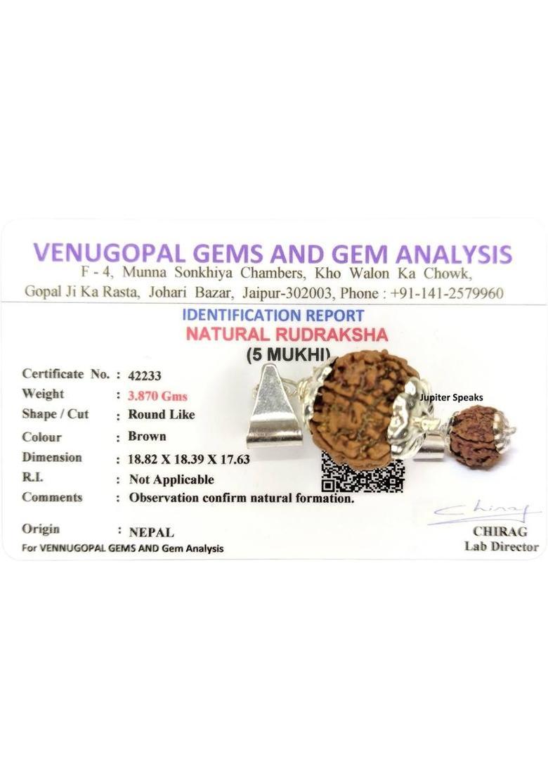 jupiter speaks 5 Mukhi Rudraksha Pendant With Lab Certificate Nepali Bead Size 18-19 mm Unisex Silver Wood Pendant - Indya