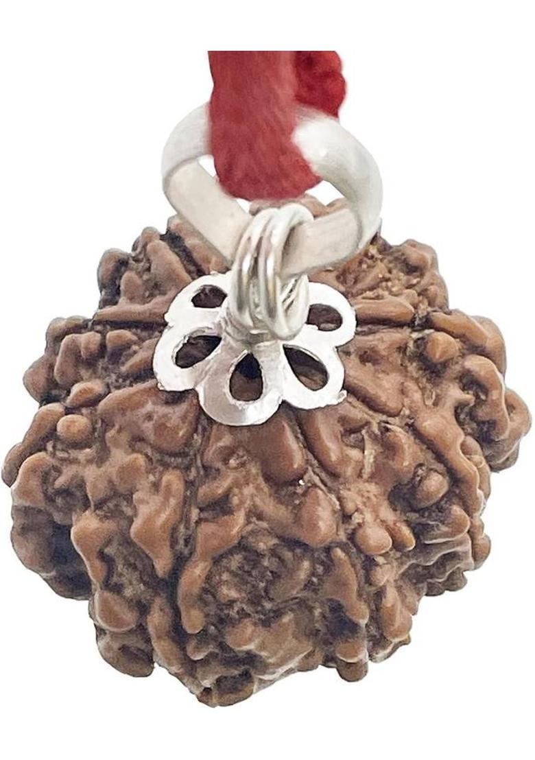 HARIDWARR 9 Mukhi Rudraksha Original and Natural with Lab Report Silver Wood Pendant Wood Locket - Indya