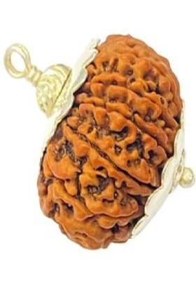 Ceylonmine01 12 Mukhi Rudraksha Original Certified With Capping Silver Polish pendant Silver Wood Pendant