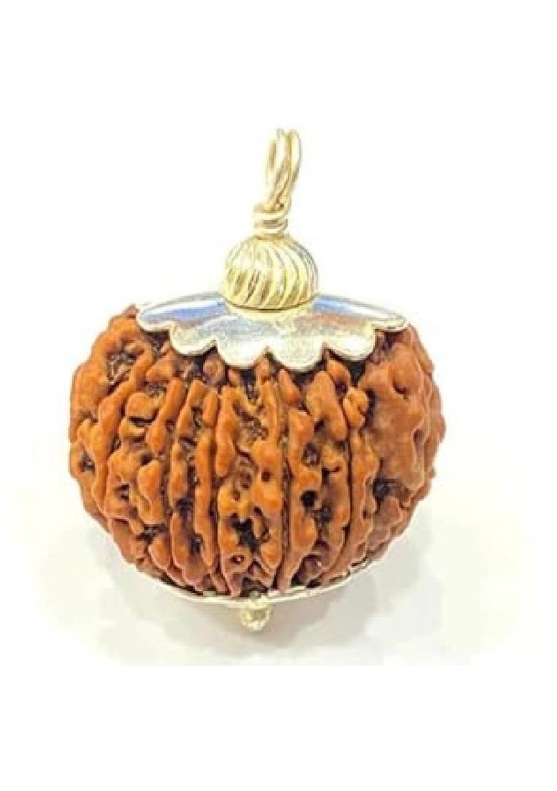 Ceylonmine01 12 Mukhi Rudraksha Original Certified With Capping Silver Polish pendant Silver Wood Pendant - Indya