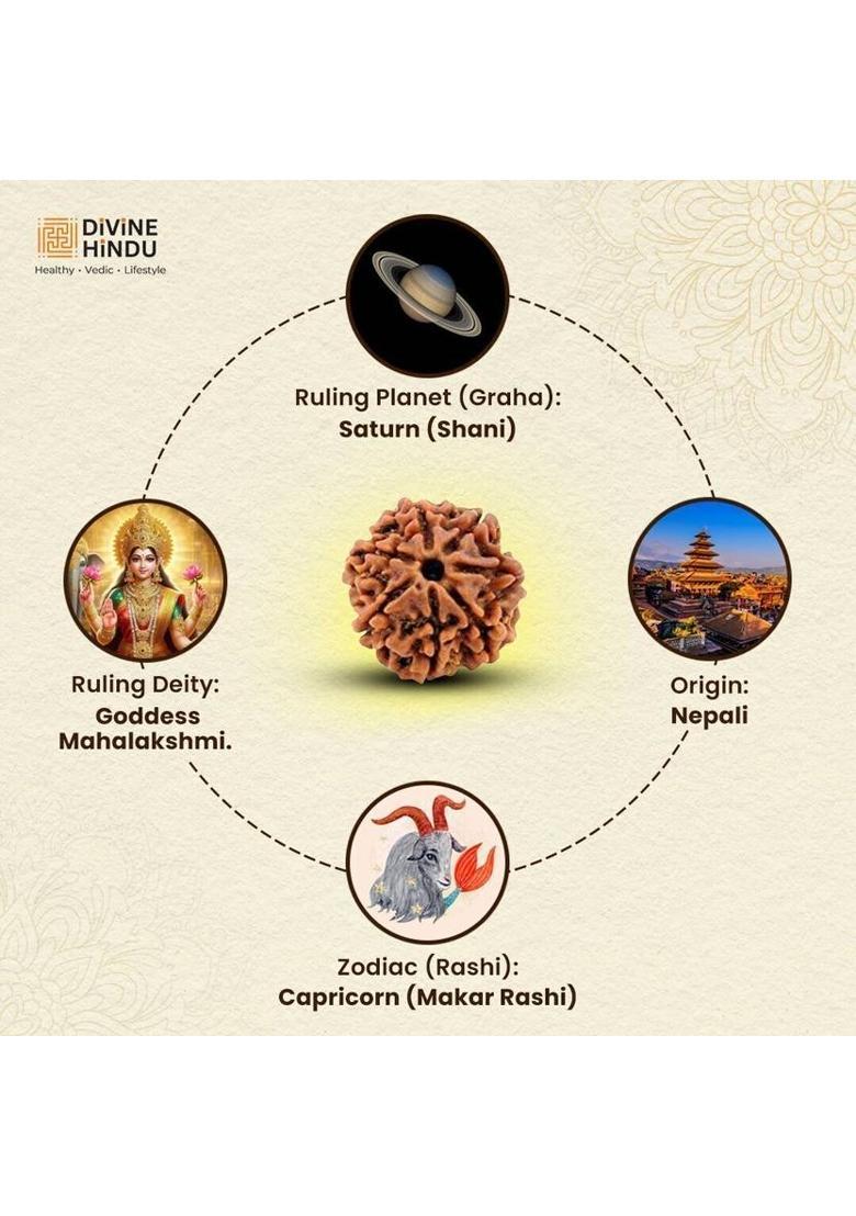 DIVINE HINDU 7 Mukhi Nepali Rudraksha Bead | Lab Certified | Confidence, Health & Protection Wood Pendant - Indya