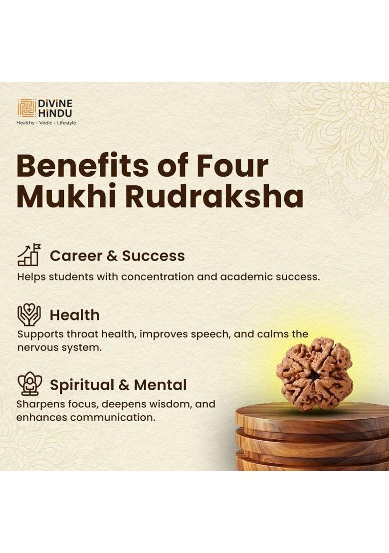 DIVINE HINDU 4 Mukhi Nepali Rudraksha | Original Bead | Symbol of Power | Lab Certified | Wood Pendant - Indya
