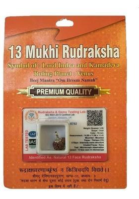 Sarvaksh 13 Mukhi Rudraksha with Silver Capping | Lab Tested & X-ray Certified Wood Pendant