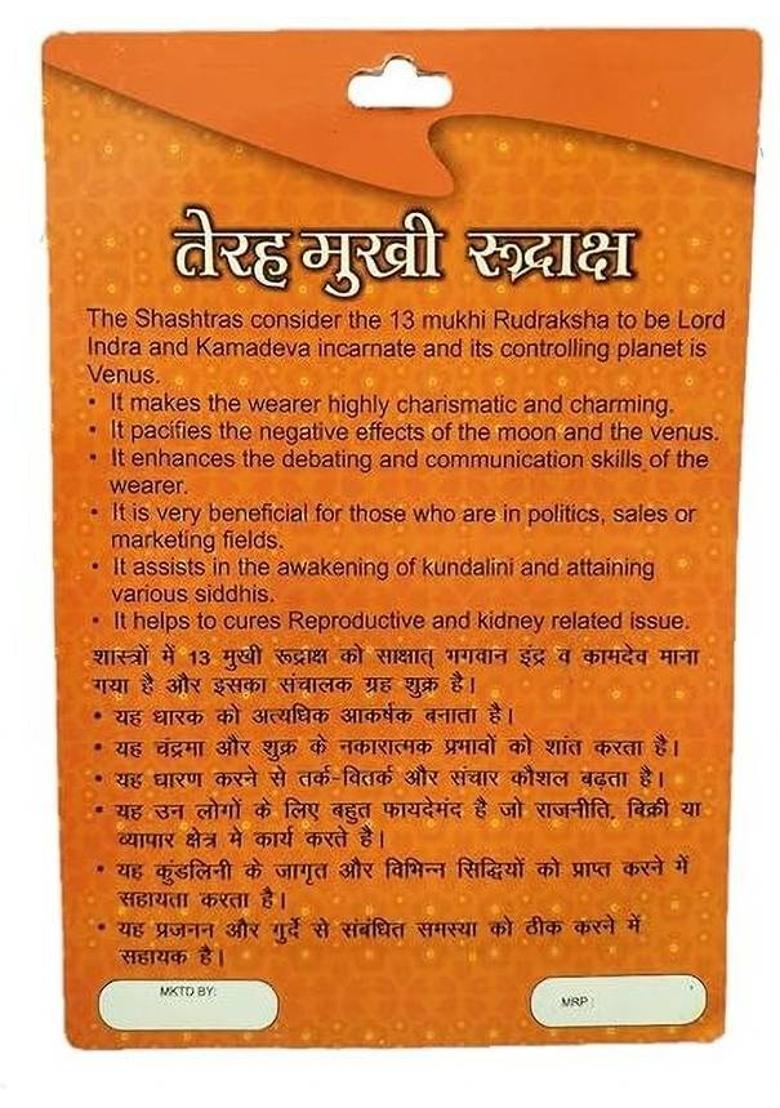 Sarvaksh 13 Mukhi Rudraksha with Silver Capping | Lab Tested & X-ray Certified Wood Pendant - Indya